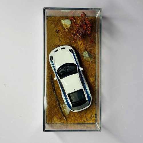 Vitrine pour voiture
