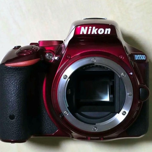 Appareil photo reflex