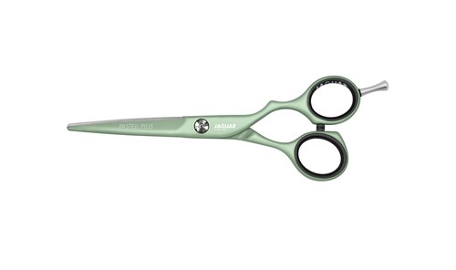 Jaguar white line pastel plus - line,