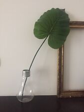 Vase Serax Ampoule 24 Cm