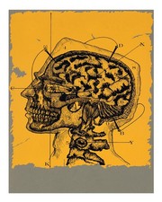 Affiche crâne anatomique