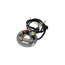 Stator pour Yamaha FX 700 FX1