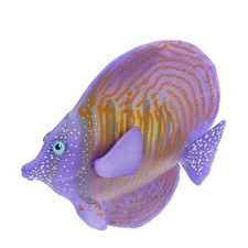  Décoration de poisson Décoration Tank Tank Aquarium Ornement Sous-marin