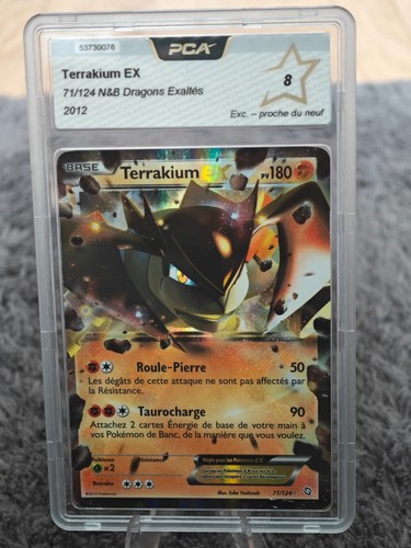 Carte pokemon terrakium - carte,