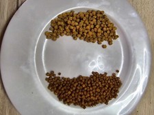 1 kg de pellets carpe expander 3 mm