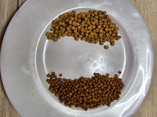 Pellets carpe expander - carpe,