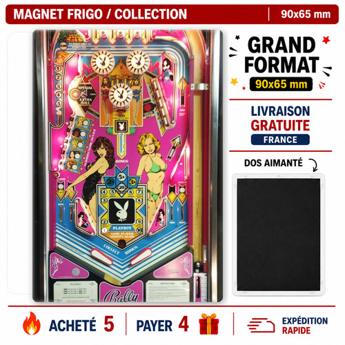 Magnet frigo flipper - , playboy
