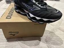 mizuno wave prophecy 11