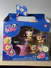 ⭐️⭐️ Petshop Chaton