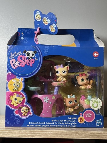Petshop chaton - petshop,