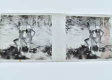 PHOTO PLAQUE VERRE STEREO NEGATIF NU FEMININ EROTIQUE 10,5 x 4,5 CM EROTICA