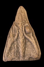 Proue de pirogue, canoe prow, sepik river, papua new guinea