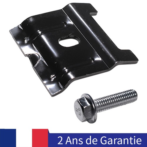 Pour beetle eos - pour,