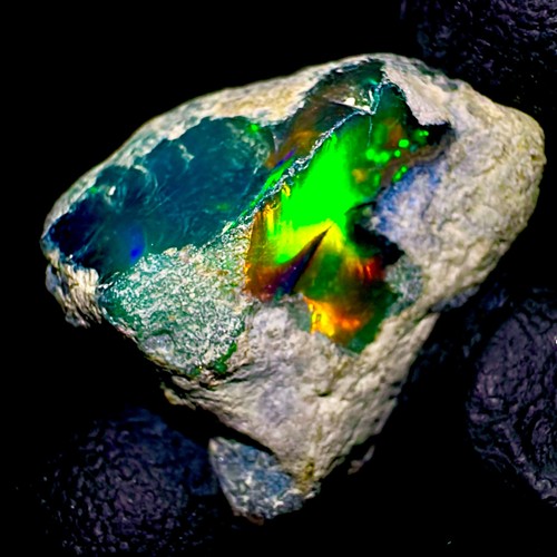 Opal brute naturelle noire - brute,