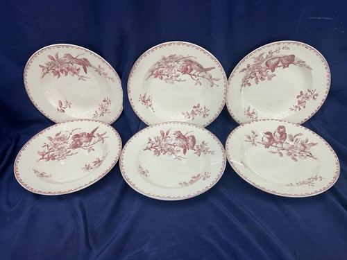 Belles assiettes creuses - belles,