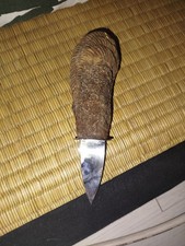 Couteau A Huitre Fackelmann Manche En Huitre