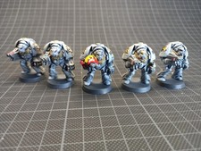 Terminators Space Hulk Space Wolves GW WH40k oop Warhammer Games Workshop L072