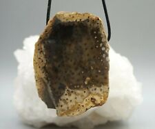 Bois Versteinert Grand