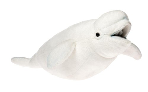 Bh6626 hansa beluga - bh6626, 42