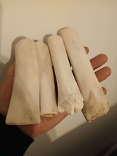 67. Ébauches d'os de cerf