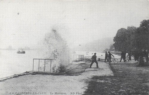 Caudebec caux le - 76,