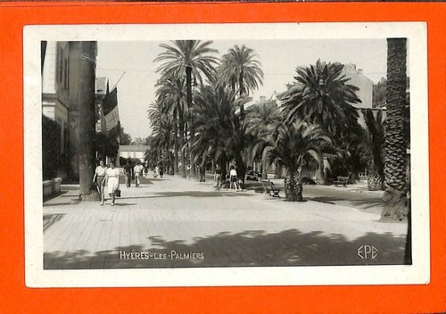 Hyeres cpsm palmiers - (83),