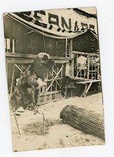 PHOTO snapshot, un grand