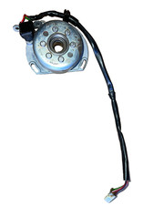 allumage rotor stator ktm 125