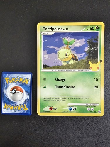 Carte pokémon jumbo - carte,