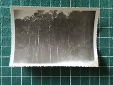 yb062 PHOTO Indochine circa