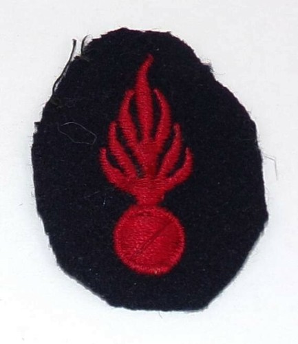 Insigne coiffure - insigne,