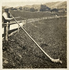 SUISSE Grindelwald Joueur de