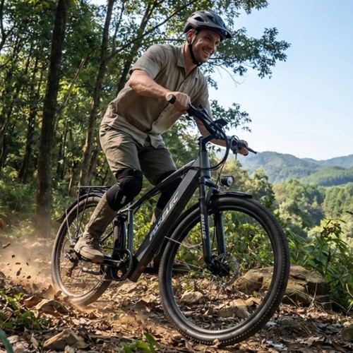 29inch electric mountain - 29inch,