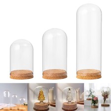 Affichage de dôme en verre, Cloche de bricolage, pot d'affichage, boîtier de