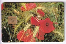 TELECARTE / PHONECARD 