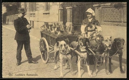 Carte postale une - , charrette