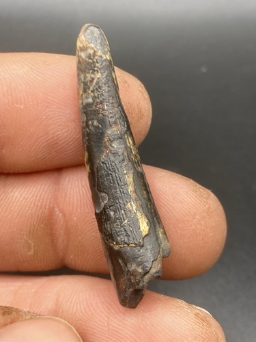 3 cm nice - /, 3,3