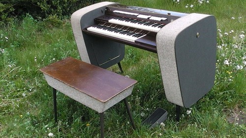 Bird organ model contemporary - bird,