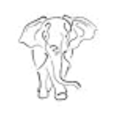 Tatouage temporaire éléphant - temporaire,