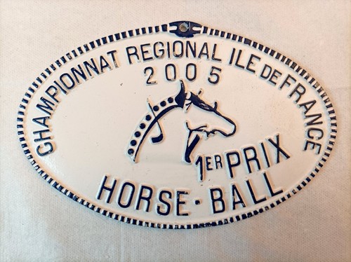 Horse ball île france 2005 - Île-de-france,