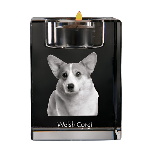 Pembroke welsh corgi porte - pembroke,