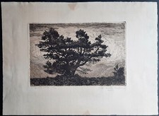 Eau-forte et pointe sèche par