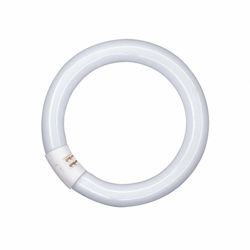 Osram donut 32w - 840, c