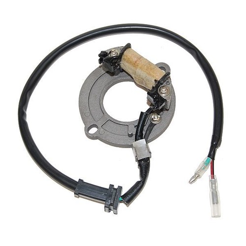 Electrosport alternator - electrosport,