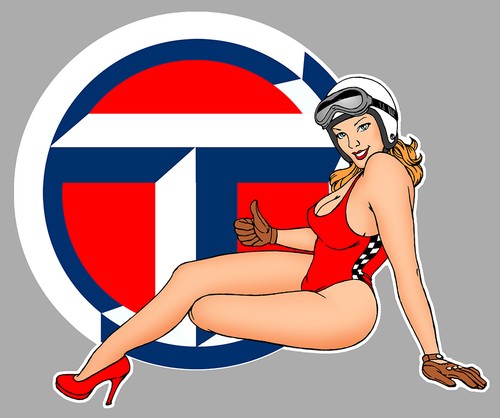 Talbot left pin sticker - talbot,