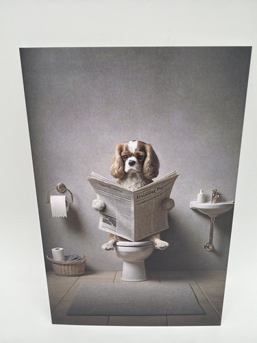 Affiche carte postale - a6,