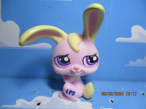 Petshop lapin garenne - de,