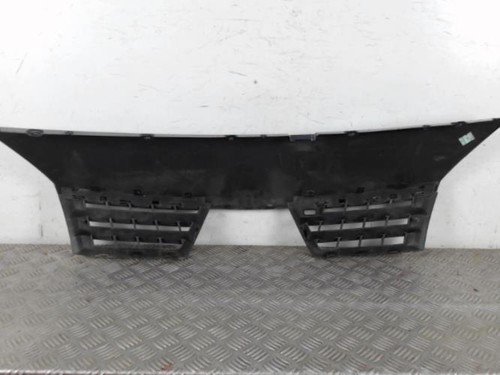 Calandre renault scenic - scenic, 2