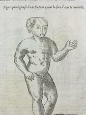 Docteur Bellanger Bois Le Roi