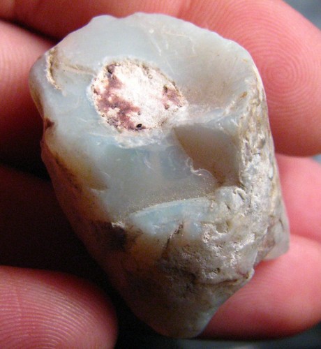 Fossile pipe belemnite - o&co,